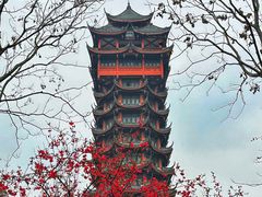 -塔子山公园