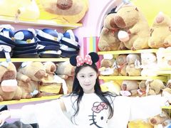 -成都欢乐谷