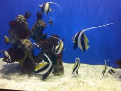 -烟台海昌鲸鲨海洋公园