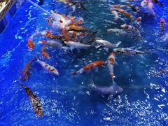 -天虹购物中心(石路店)