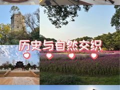 -江心屿景区