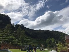 -龙岩森林水乡景区