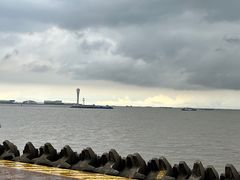 -上海滨江森林公园