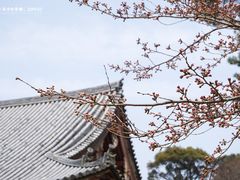 -醍醐寺