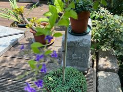 -亮河湾山庄