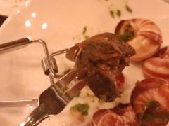 蒜蓉蜗牛-金蜗牛