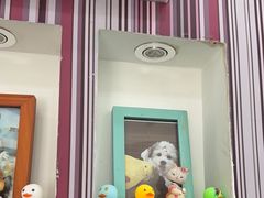 -瑞鹏·疫苗·绝育·宠物医院(金沙洲店)