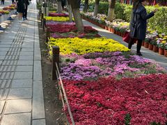 -沈阳市东陵公园