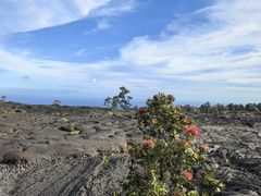 -夏威夷火山国家公园