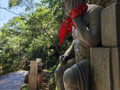 -王顺山国家森林公园