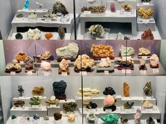 -湖南省地质博物馆