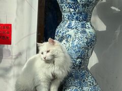 -VOYAGE COFFEE(杨梅竹店)