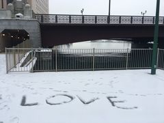 -币舞桥