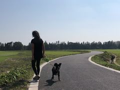 -锦江中华村农家乐饭庄