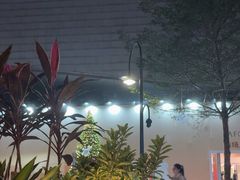 -haxnbauer海森堡德国餐厅(深圳coco店)