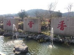 -香雪海