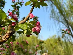 -元大都城垣遗址公园