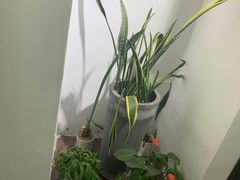 -铭修苹果华为手机平板维修服务(杨浦区店)