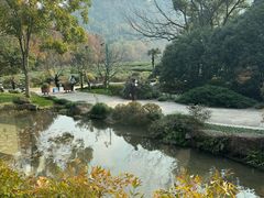 -中国茶叶博物馆(双峰馆区)