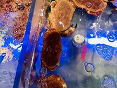 -盒马鲜生(悠方店)