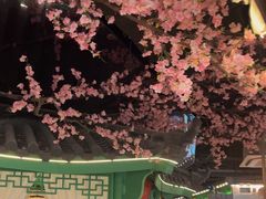 -荷塘秋月·本帮江浙菜(国权路店)