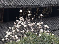 -峨眉山报国寺