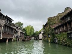 -乌镇西栅景区