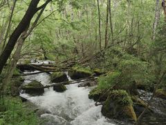 -叠溪松坪沟景区