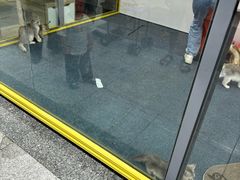 -连城·新天地(福华一路店)