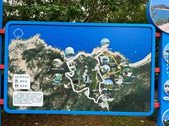 -广东惠东海龟国家级自然保护区