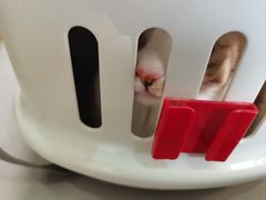 -美联众合动物医院·24h转诊中心
