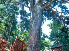 -终南山南五台景区