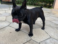 -宠颐生·恒爱宠物医院(静海店)