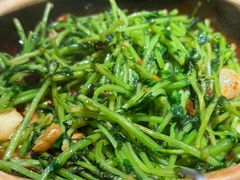 川香焗豆苗-廖川菜(八佰伴店)
