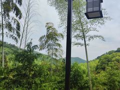 -东明山森林公园
