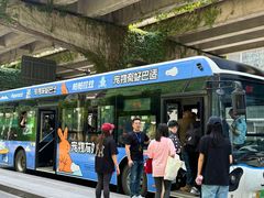 -帕帕拉兹宠物(亚洲旗舰店)