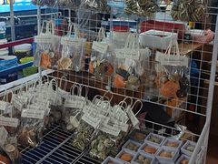 -蓝湾碧波·老字号·疍家非遗海上餐厅