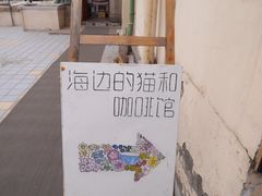 海边的猫和咖啡馆-海边的猫和咖啡馆