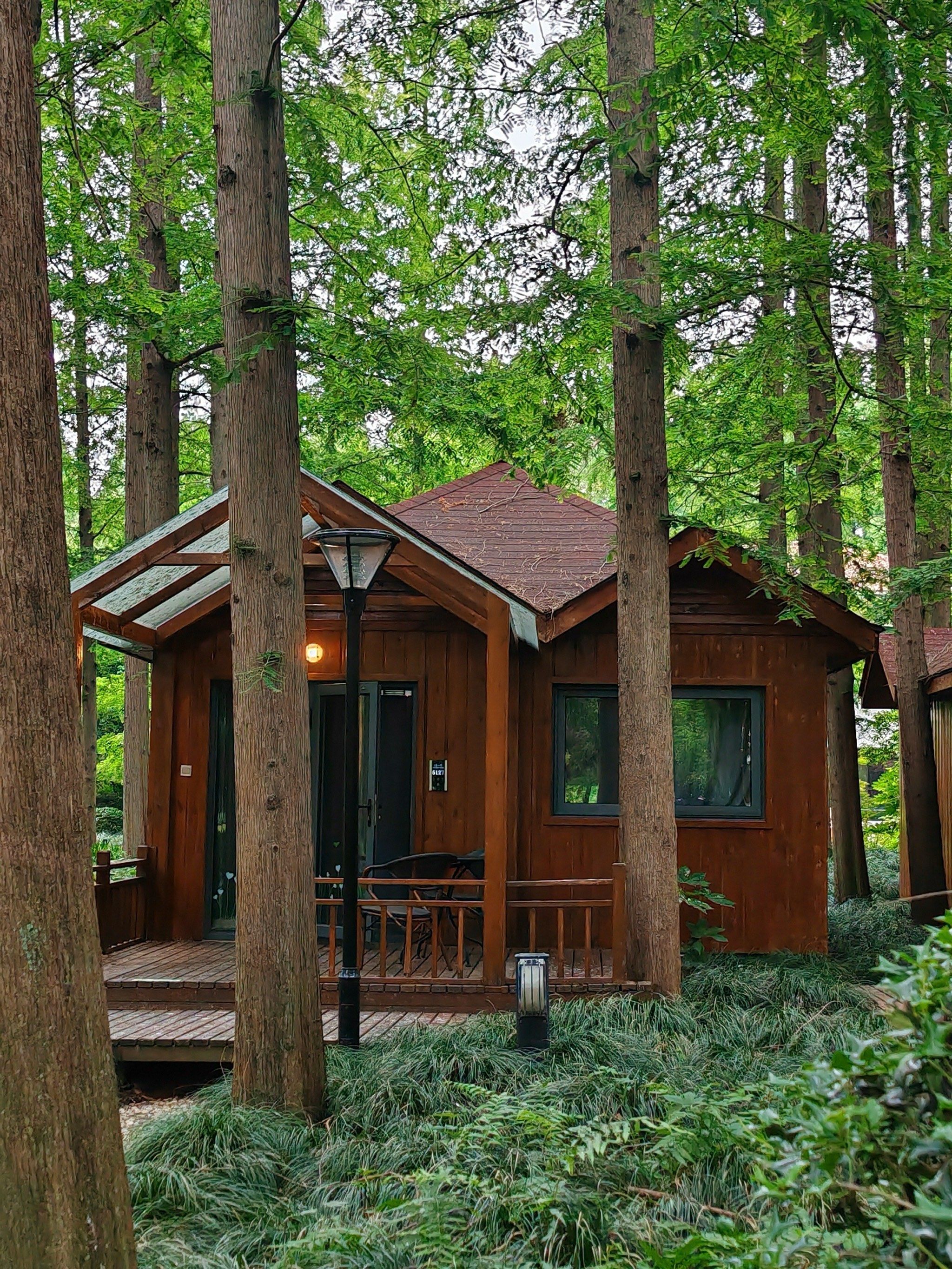 一辈子总要去一次森林住一次小木屋吧