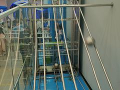 -佛山科学馆