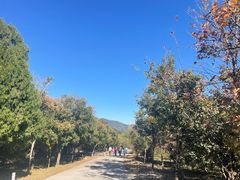 -北京西山国家森林公园