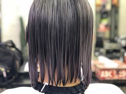 -SALON V