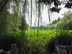 -包公祠