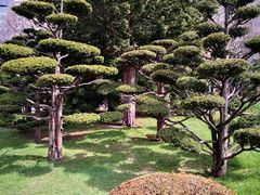 -北海道厅旧本厅舍(旧本庁舎)