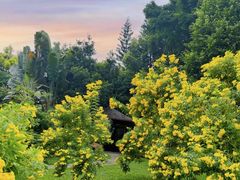 -深圳国际园林花卉博览园