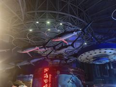-烟台海昌鲸鲨海洋公园