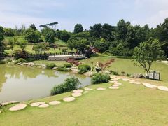 -金水泊山庄·花椒鸡(铁山坪店)