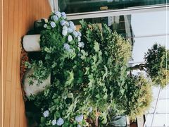 -La Terre乐田(万象城店)