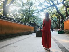 -普陀山风景名胜区-法雨禅寺