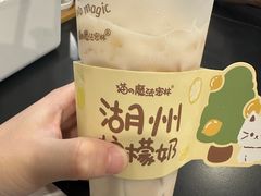 -猫的魔法密林(衣裳街店)